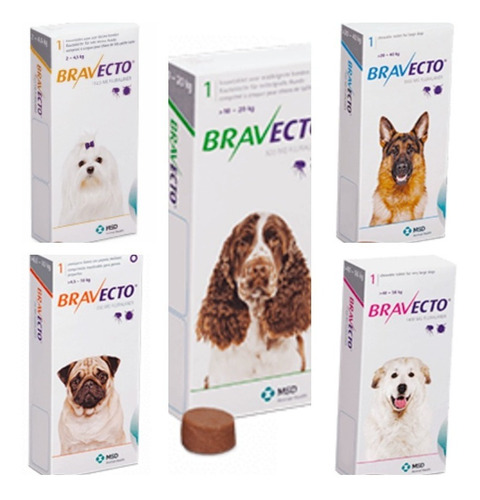 Perros Bravecto Antigarrapatas Pulgas Dermatitis Acaros 2-56