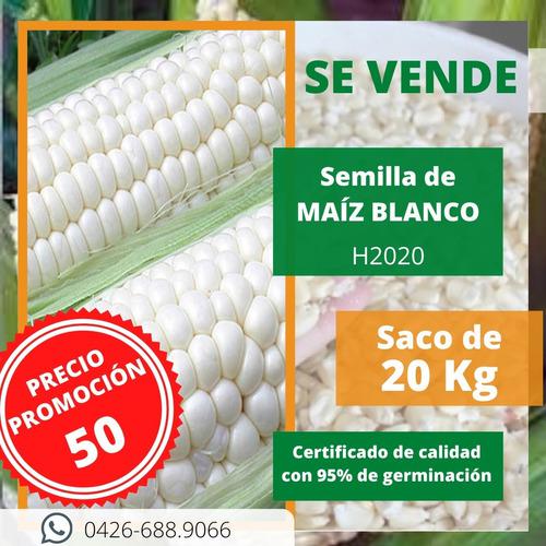 Semilla De Maíz Blanco H2020 Saco De 20kg