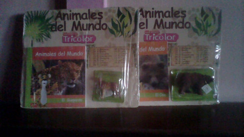 Animales Del Mundo De La Cadena Tricolor
