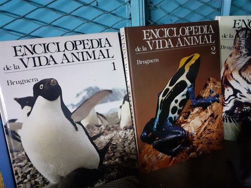 Colección Completa Enciclopédia Vida Animal 18 Ejemplares