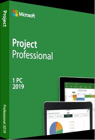 Microsoft Project Professional 