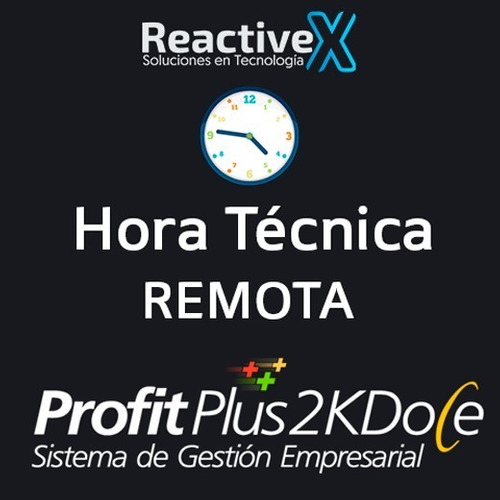 Profit Plus 2k8 2k12 Hora Soporte Remoto Asesoria