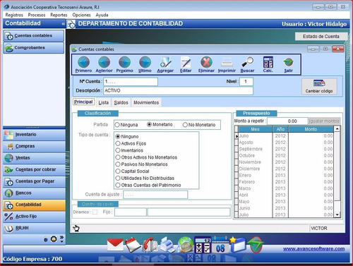 Sistema Contable (Avance Software)