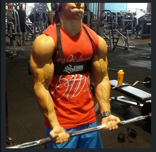 Arm Blaster Biceps Gym
