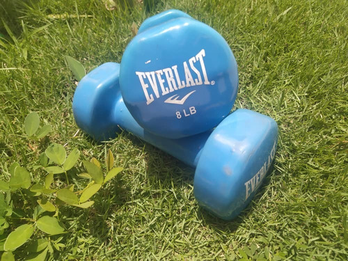 Mancuernas Everlast 8lb Originales