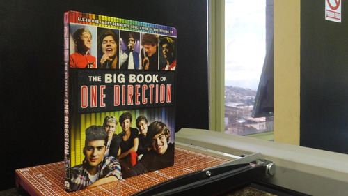 Libro One Direction The Big Book