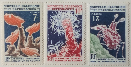 Nueva Caledonia, Colonia Francesa. Serie: Corales. Año: