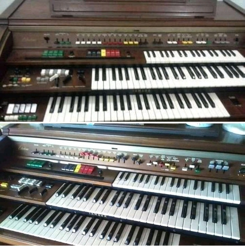 Organo Musical Yamaha Dk-40