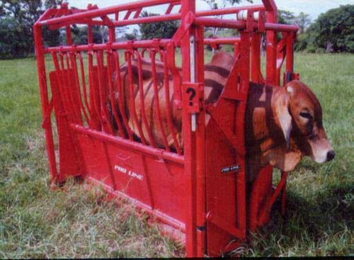 Brete Ganadero Herramienta Necesaria Para La Ganadería