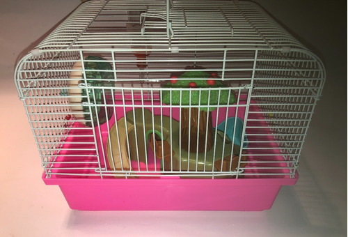Casa Para Hamster #4