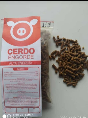 Cerdo De Engorde