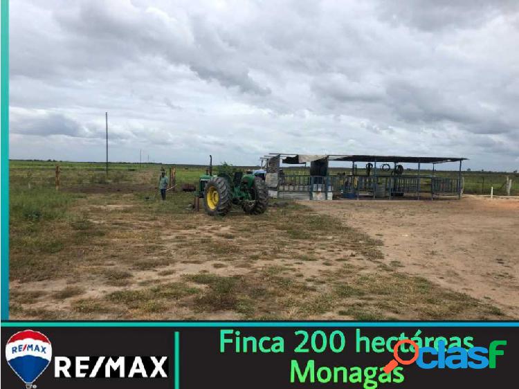 FINCA 200 HECTÁREAS - MONAGAS