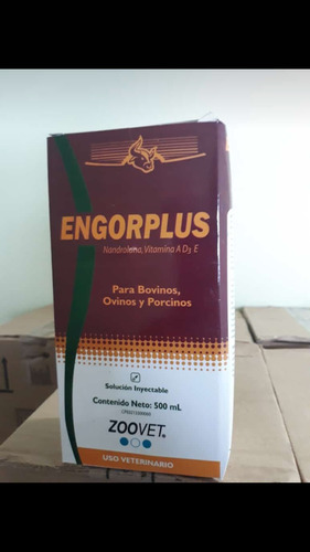 Engorplus