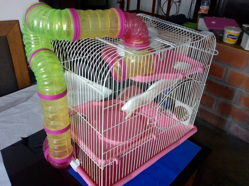 Casa Para Hamster