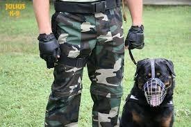 Julius K-9 Bozal Metal Perros Rotweiller Hembra, Hocico Cort