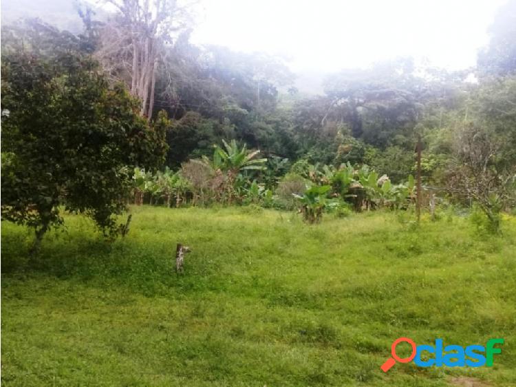 Finca Productiva en Montalbán - Carabobo de 348 hectáreas