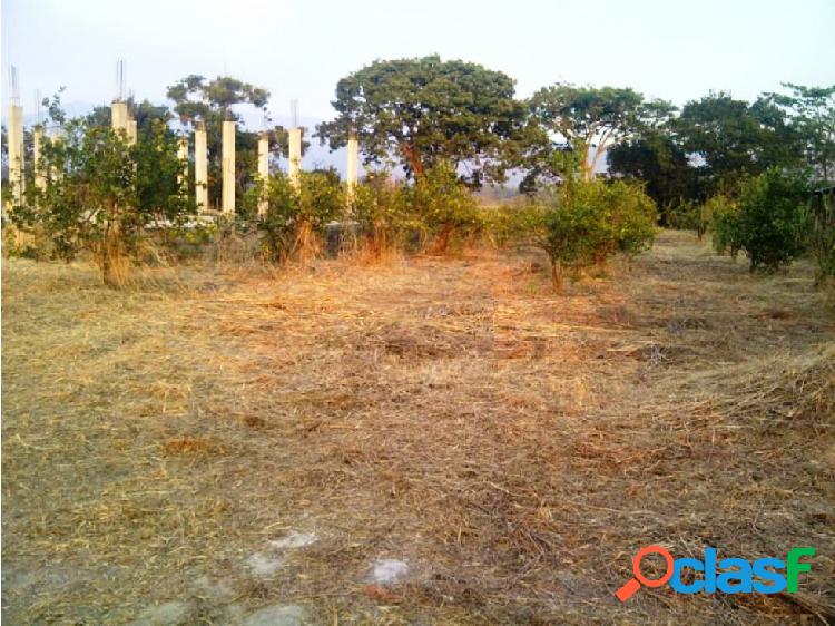 Terreno en Montalbán - Carababo