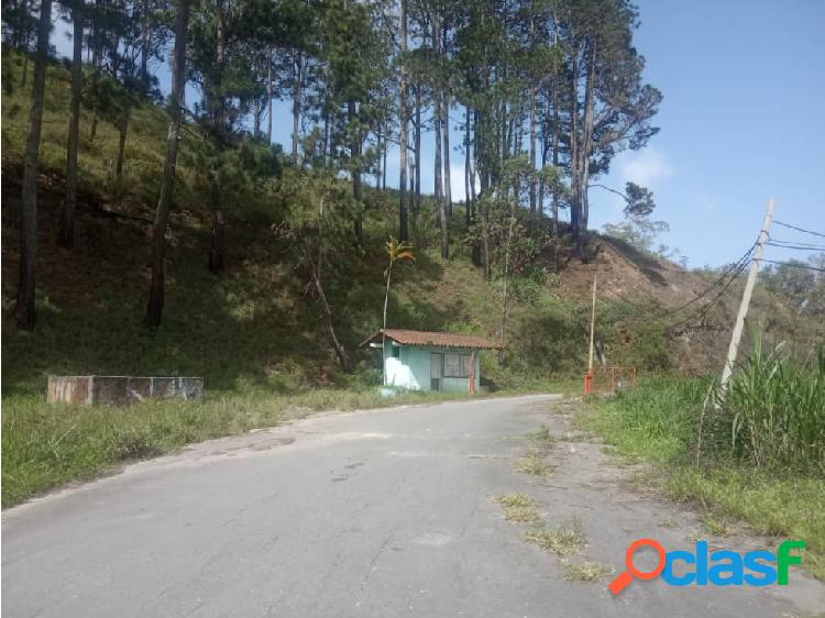 Terreno sector Los Desamparados El Limon San Antonio de los