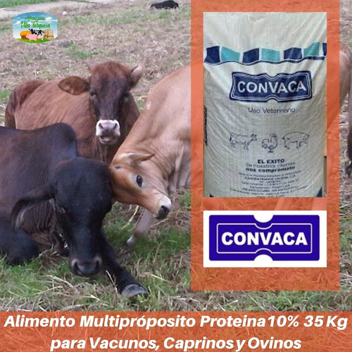 Alimento Para Animales / Multiproposito N Kg Convaca