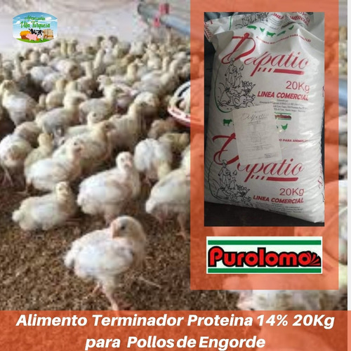 Alimento Para Animales / Terminador Pollos Purolomo 20 Kg