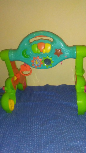 Gimmnasio Y Andadera, Para Niños Y Niñas
