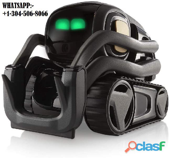 Vector Robot by Anki, A Home Robot Who Hangs Out & Helps Out