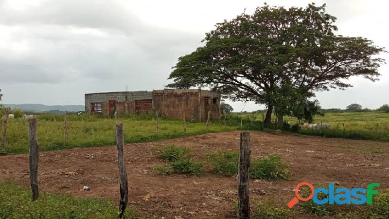 Terreno En Venta en El Pao, Edo. Cojedes