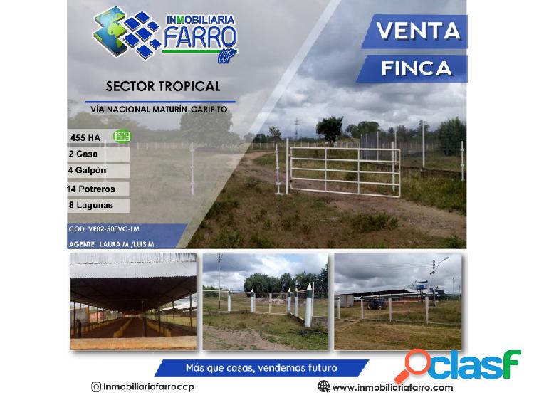 SE VENDE FINCA VÍA CARIPITO, SECTOR TROPICAL VE02-500VC-LM