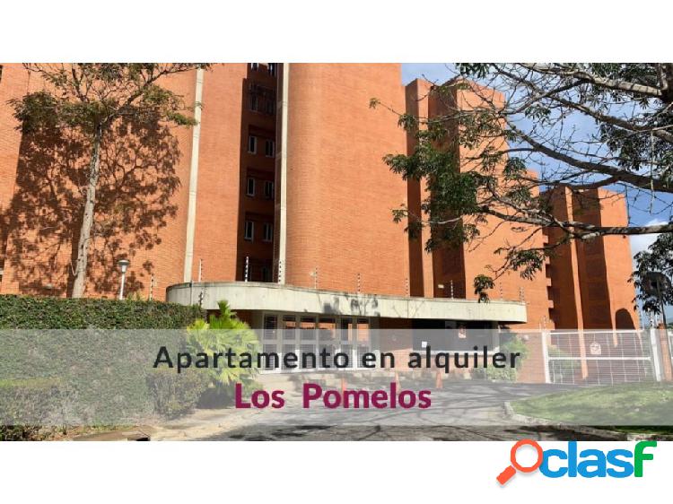 Alquiler Apartamento remodelado en Los Pomelos