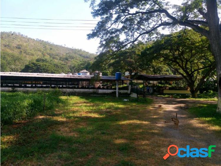 Venta de Finca en Guigüe.Carabobo