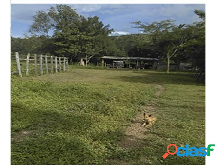 Vendo finca 877mts2 San Juan de los Morros