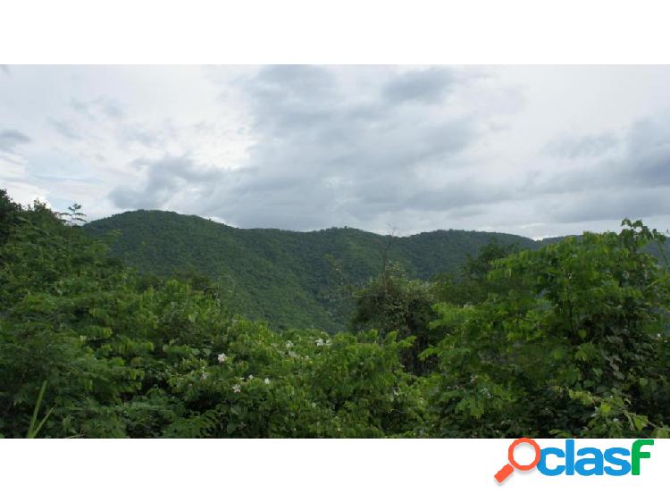 Vendo terreno 973m2 La Trinidad 9571