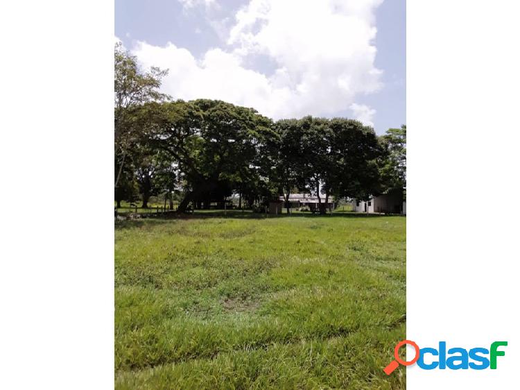 SE VENDE FINCA EN VELADERO, SUR DE MONAGAS VE02-044VS-LM