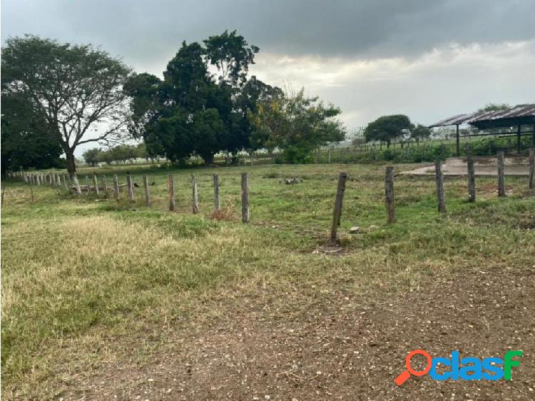 SE VENDE FINCA EN ZONA INDUSTRIAL VIA SAN VICENTE