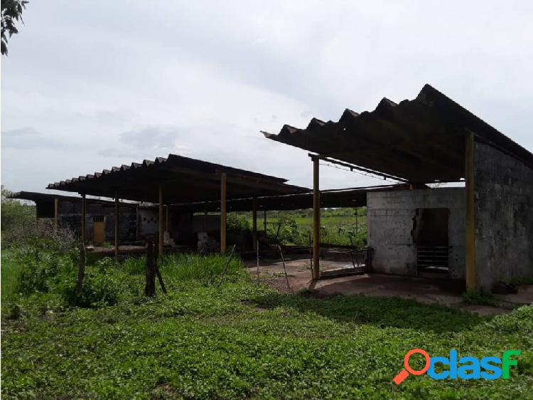 SE VENDE FINCA VIA SAN JAIME VE01-0344ZI-JG