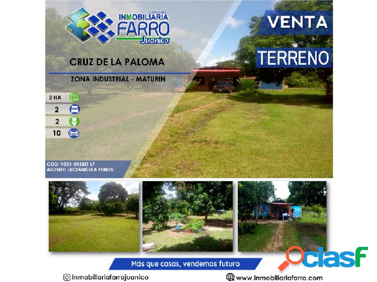 SE VENDE TERRENO EN LA CRUZ DE LA PALOMA VE01-0958ZI-LF