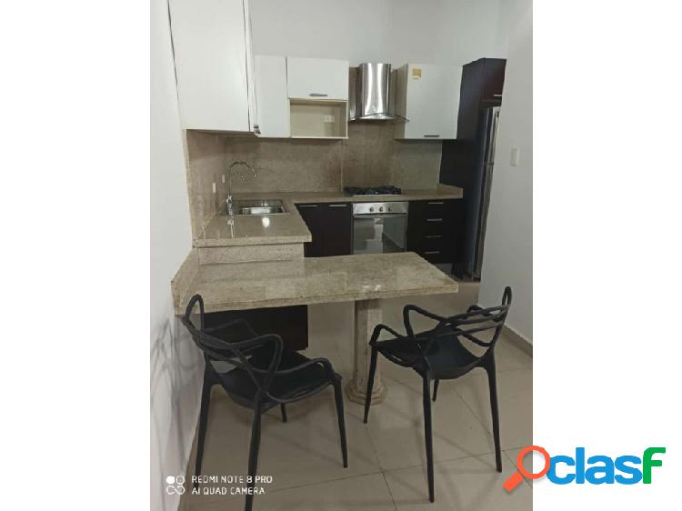 SE VENDEN APARTAMENTOS EN VILLAS MEREY VE01-0433ZN-MF