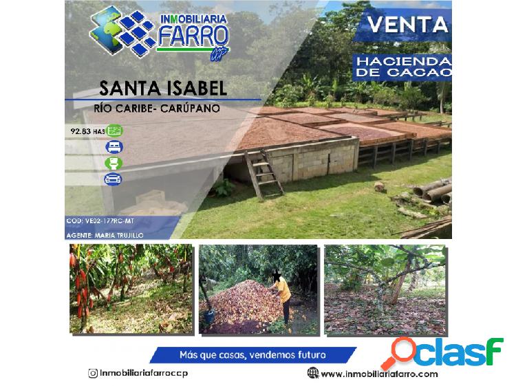 VENTA DE HACIENDA DE CACAO EN RIO CARIBE VE02-177RC-MT