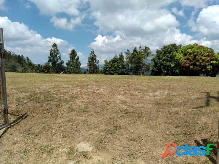 Vendo terreno 11,440m2 Lomas de la Trinidad 3124