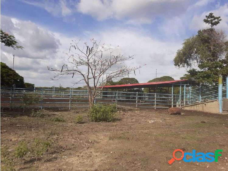 ANCOVEN PREMIUM VENDE FINCA PRODUCTIVA EN COJEDES