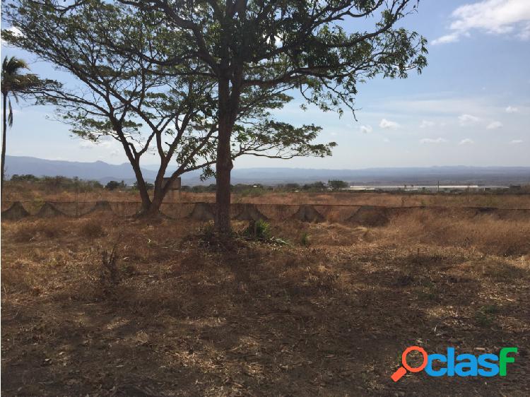 LOTE DE TERRENO LAS PIEDRAS ESTADO YARACUY