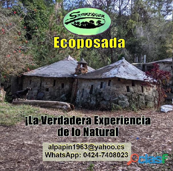 Ecoposada Samarkanda en Mérida Capital