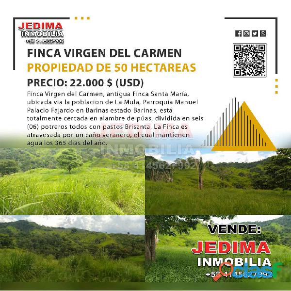 FINCA VIRGEN DEL CARMEN – BARINAS – VENEZUELA