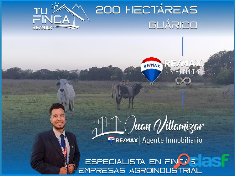 EN VENTA, FINCA PRODUCTIVA DE 200 HECTÁREAS - ESTADO