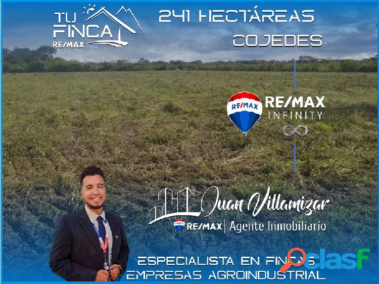 EN VENTA FINCA PRODUCTIVA DE 241 HECTÁREAS ESTADO COJEDES