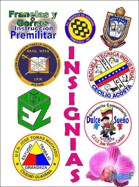 INSIGNIAS, ESCOLARES,DEPORTIVAS E INSTIRUCIONALES