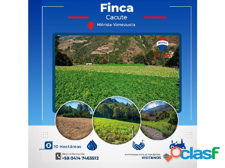 Finca + Casa en Venta - Cacute