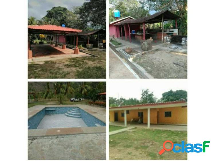 SE VENDE FINCA 3 HECTÁREAS EN PATANEMO