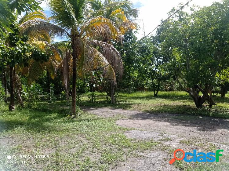 VENTA TERRENO SECTOR GUAMACIRE IRIBARREN LARA. FHI 2276