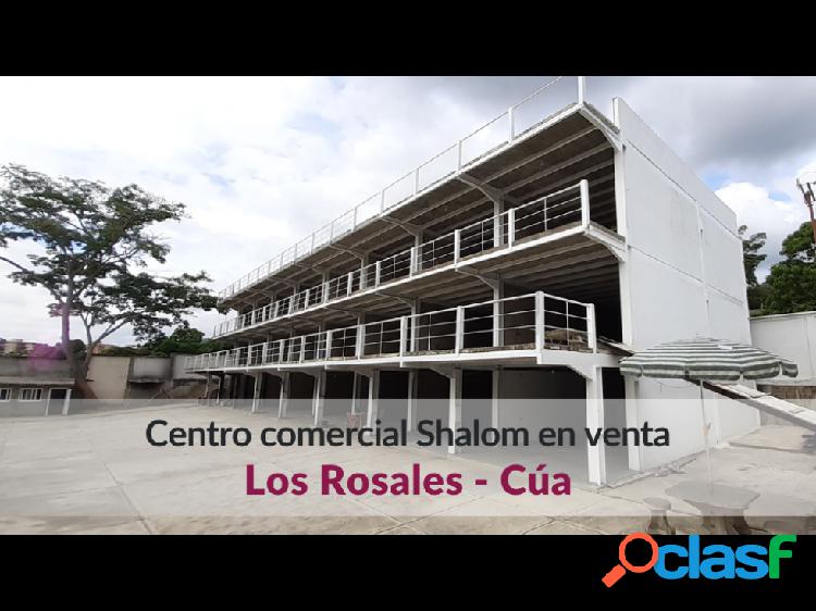 Centro comercial Shalom en venta